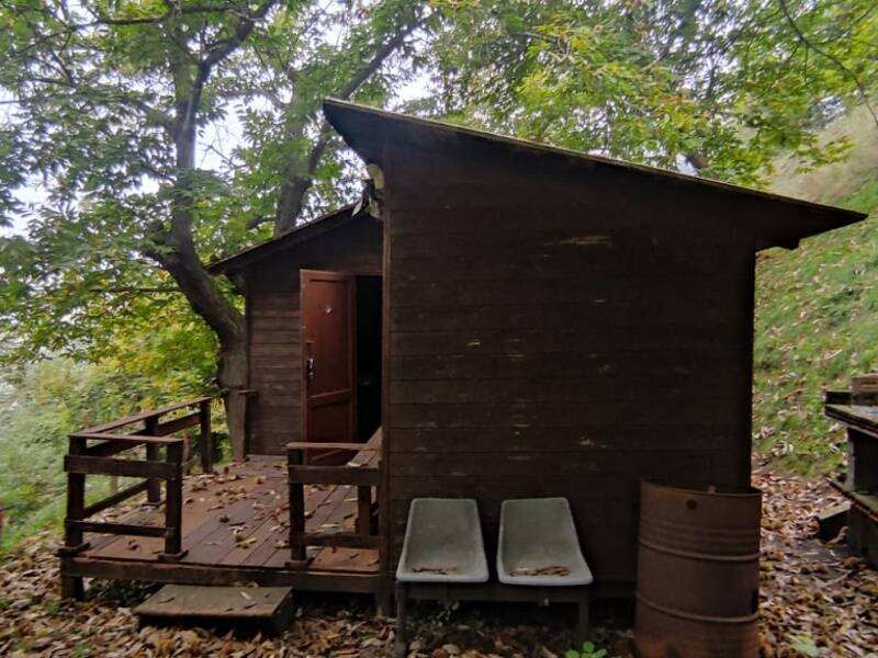 terreno agricolo in vendita a Vicchio