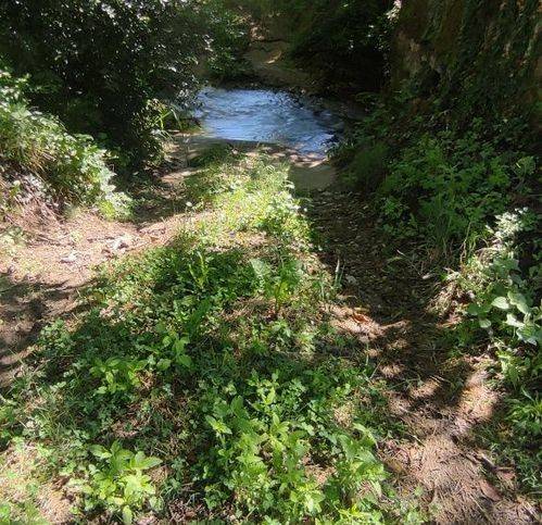 terreno agricolo in vendita a Vicchio