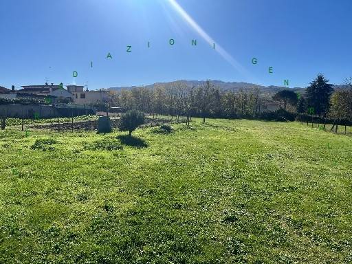terreno agricolo in vendita a Vicchio in zona Vespignano