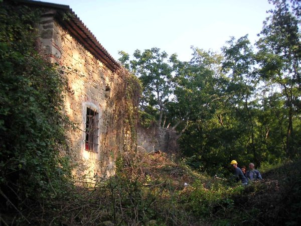 esavano in vendita a Vicchio in zona Ponte a Vicchio
