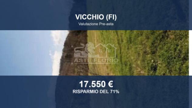 terreno agricolo in vendita a Vicchio