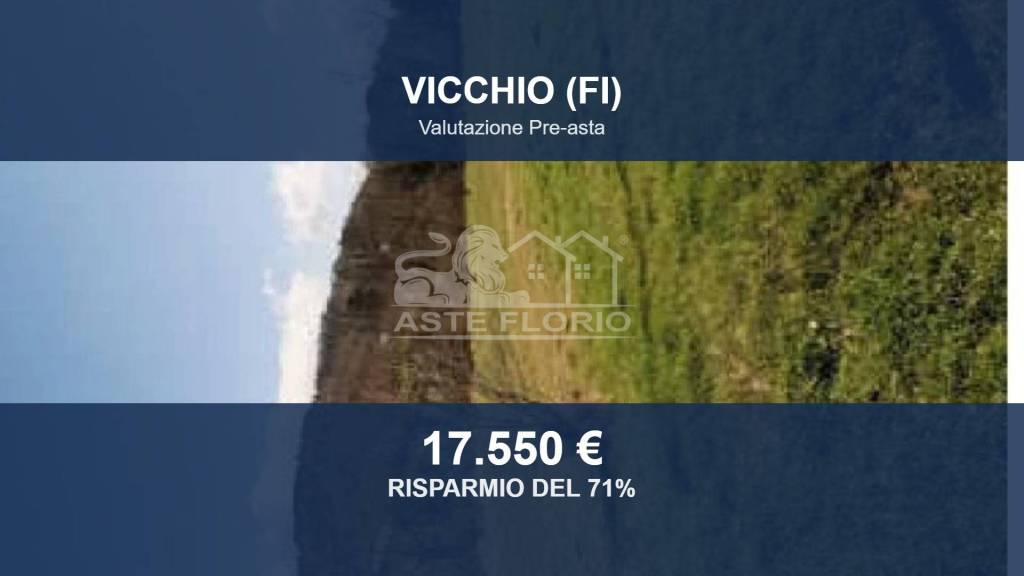 terreno agricolo in vendita a Vicchio