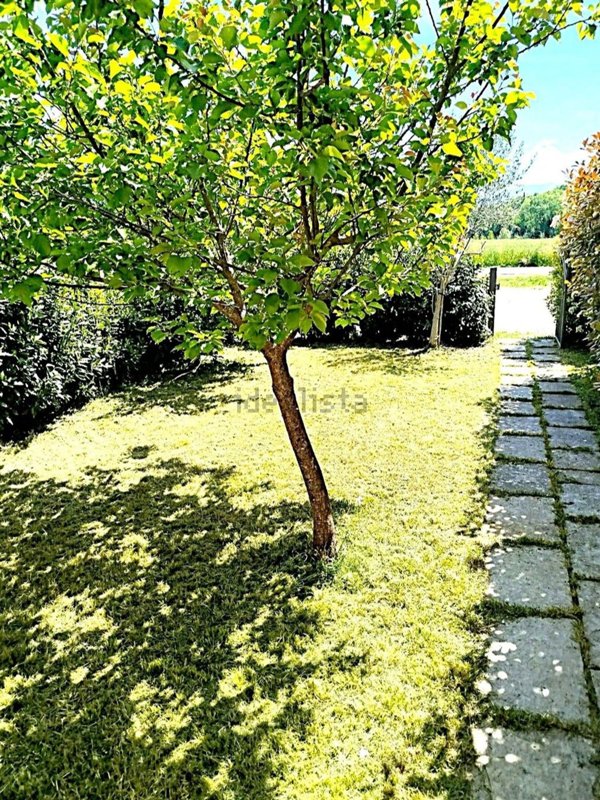 casa indipendente in vendita a Vicchio