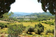 casa indipendente in vendita a Vicchio