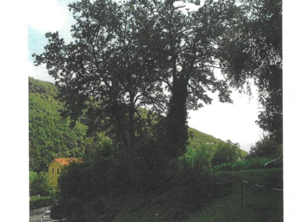 terreno agricolo in vendita a Vicchio in zona Gattaia