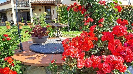 casa semindipendente in vendita a Vicchio