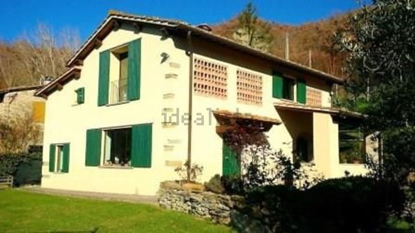 esavano in vendita a Vicchio in zona Padulivo