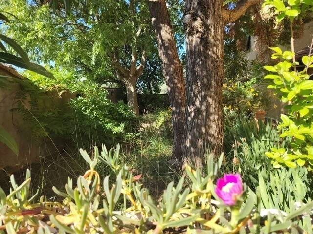 casa indipendente in vendita a Vinci