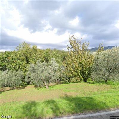 terreno agricolo in vendita a Vinci in zona Faltognano
