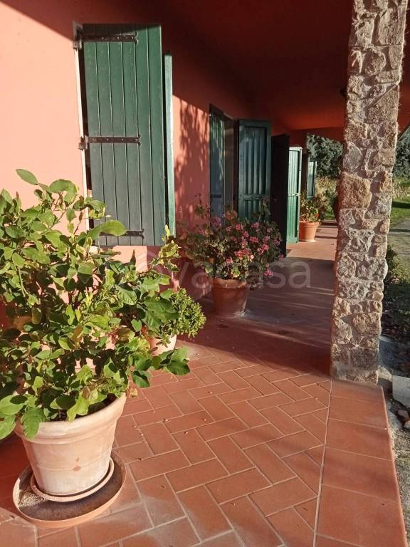 casa indipendente in vendita a Vinci in zona Vitolini