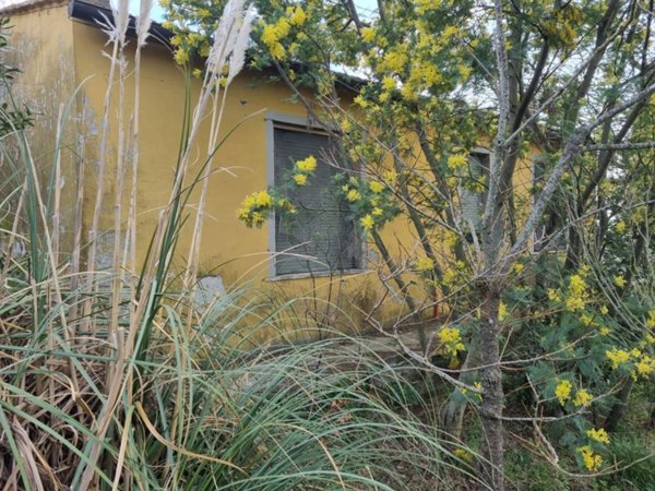 casa indipendente in vendita a Vinci in zona Sant'Ansano