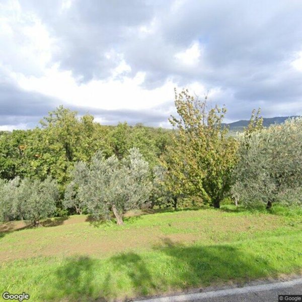 terreno agricolo in vendita a Vinci