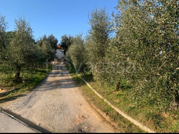 casa indipendente in vendita a Vinci