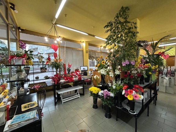 negozio in vendita a Vinci in zona Sovigliana