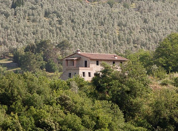 intera palazzina in vendita a Vinci