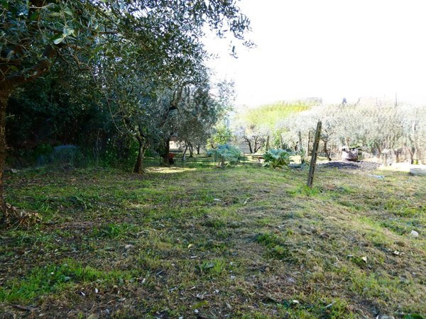 pentavano in vendita a Vinci