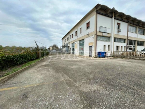 appartamento in vendita a Vinci