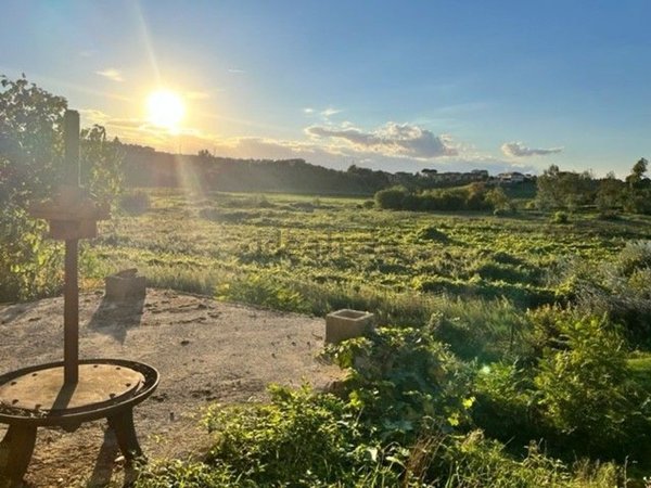 esavano in vendita a Vinci in zona San Pantaleo