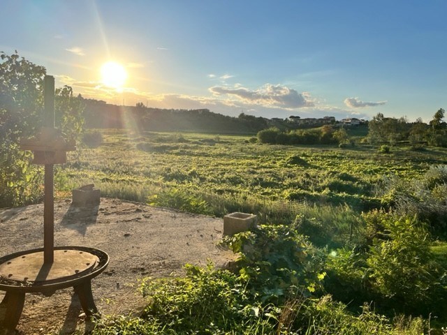 esavano in vendita a Vinci in zona San Pantaleo