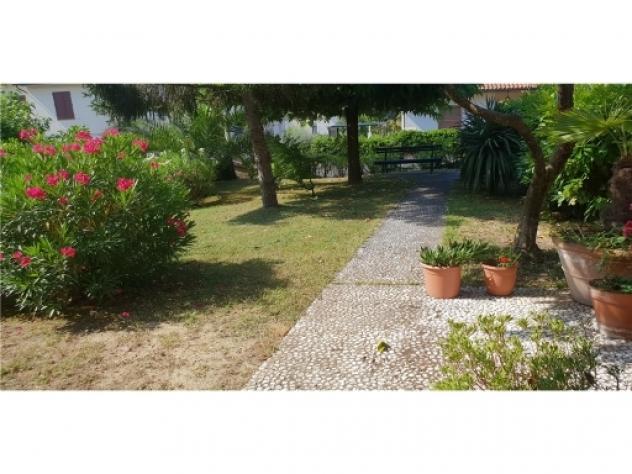 casa indipendente in vendita a Vinci in zona Sovigliana