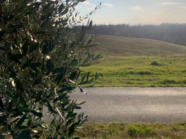 casa indipendente in vendita a Vinci