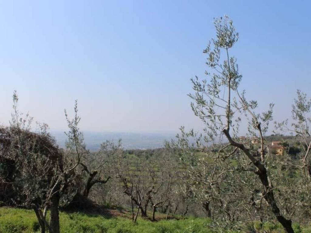 casa indipendente in vendita a Vinci