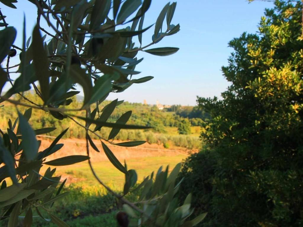 casa indipendente in vendita a Vinci in zona Sovigliana