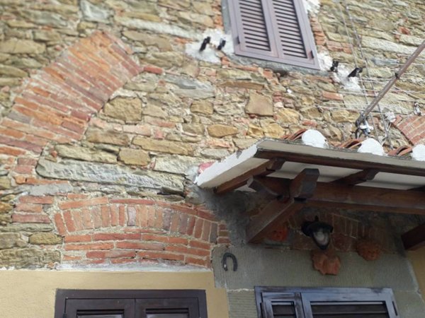 casa indipendente in vendita a Vinci
