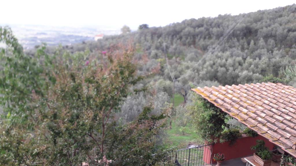 casa indipendente in vendita a Vinci in zona Anchiano