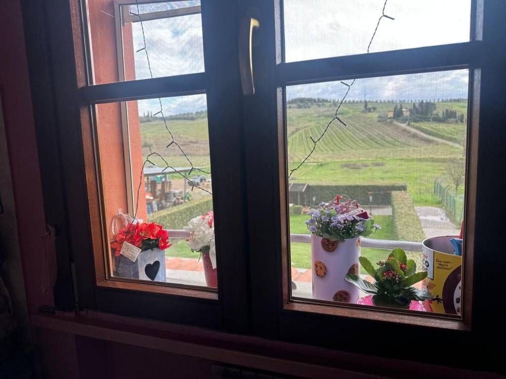 appartamento in vendita a Vinci in zona Sovigliana