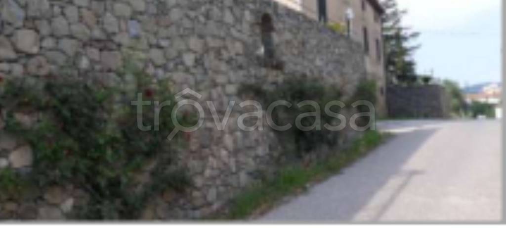 terreno agricolo in vendita a Vinci in zona Collegonzi