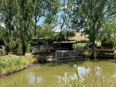 casa indipendente in vendita a Vinci