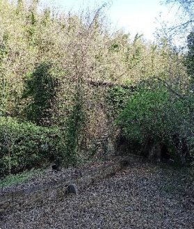 capannone in vendita a Vinci in zona Sant'Amato