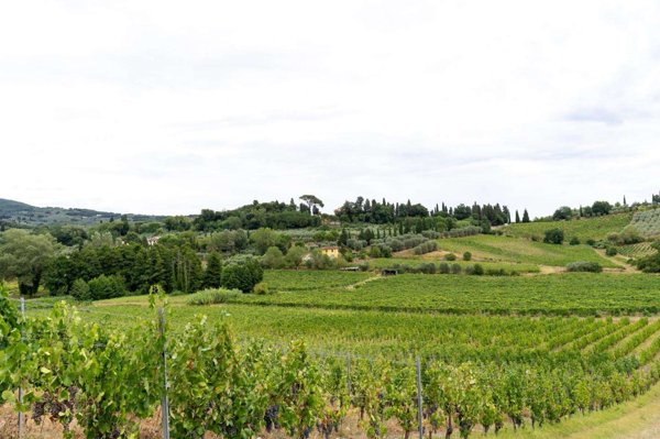 azienda agricola in vendita a Vinci in zona Sant'Ansano