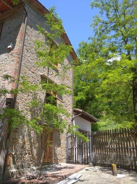 immagine annuncio 0 di 6