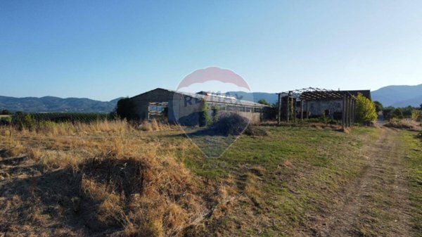 terreno agricolo in vendita a Vinci in zona San Pantaleo