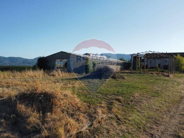 terreno agricolo in vendita a Vinci in zona San Pantaleo