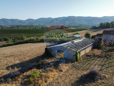 terreno agricolo in vendita a Vinci in zona San Pantaleo