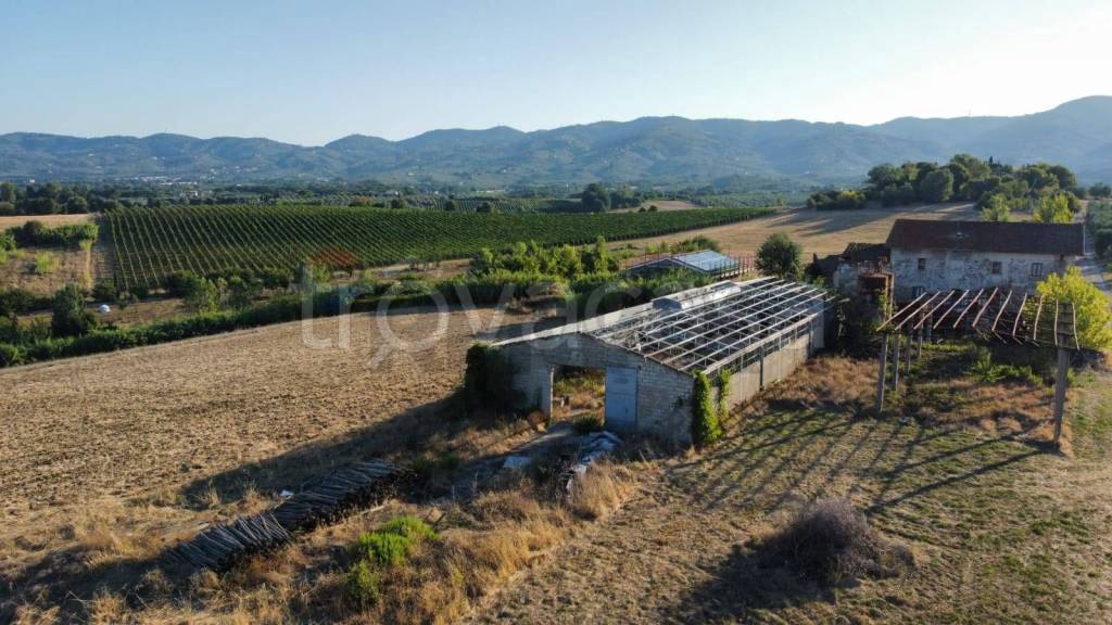 terreno agricolo in vendita a Vinci in zona San Pantaleo