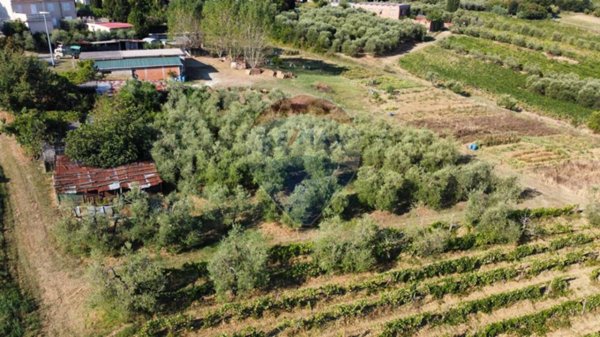 locale di sgombero in vendita a Vinci