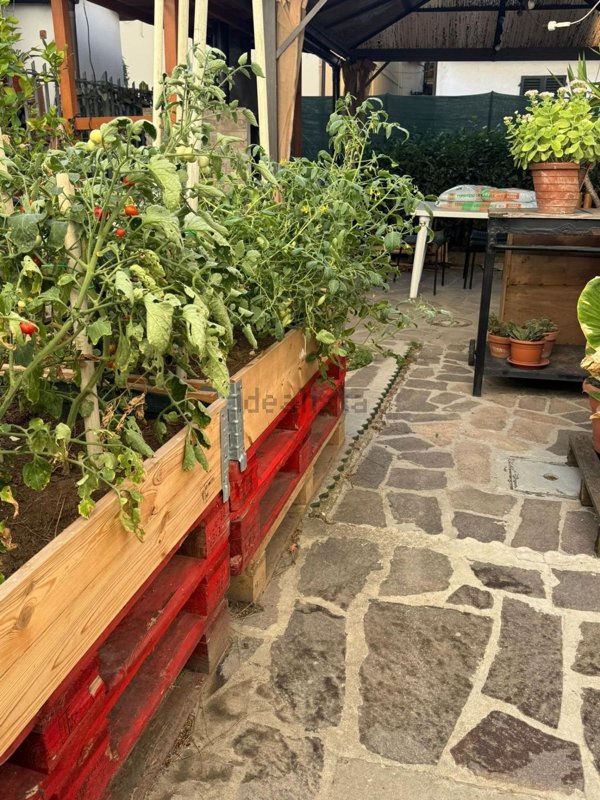 casa indipendente in vendita a Vinci in zona Spicchio