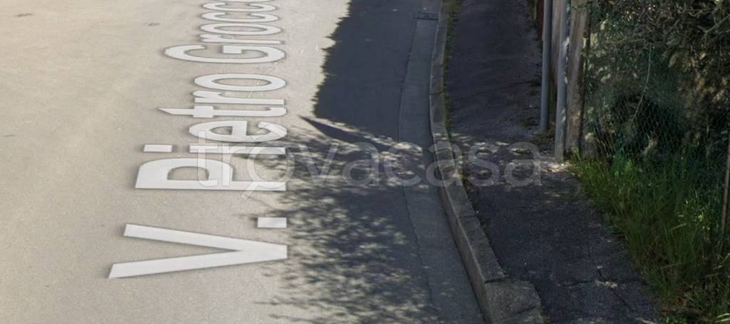 terreno agricolo in vendita a Vinci