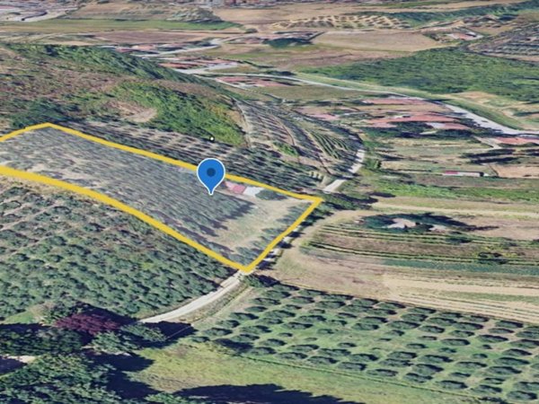 terreno agricolo in vendita a Vinci in zona Spicchio