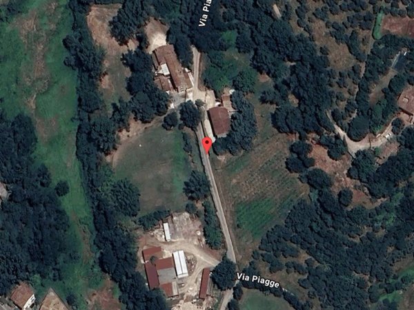 terreno agricolo in vendita a Vinci