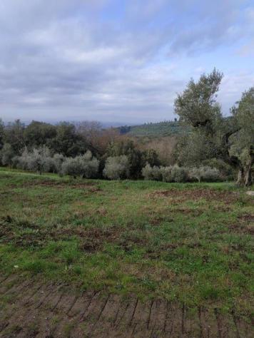 casa indipendente in vendita a Vinci in zona Vitolini