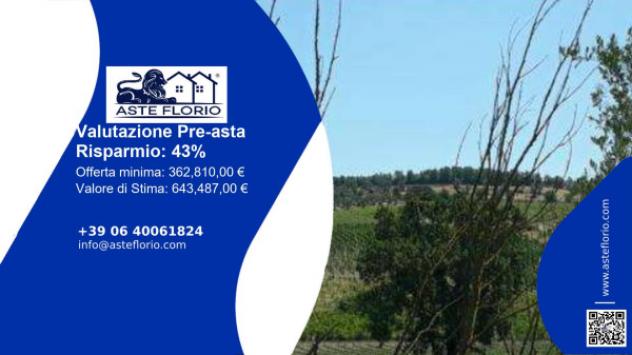 terreno agricolo in vendita a Vinci in zona Collegonzi