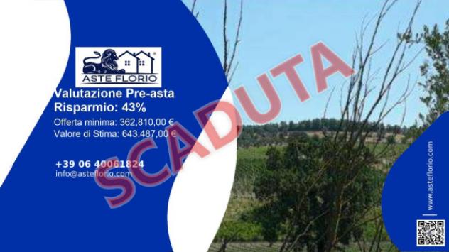 terreno agricolo in vendita a Vinci in zona Collegonzi