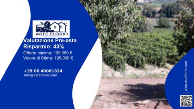 terreno agricolo in vendita a Vinci in zona Collegonzi