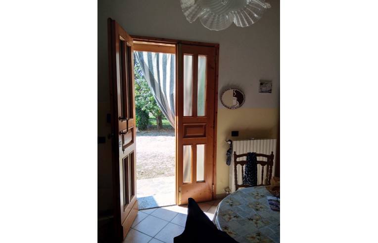 casa indipendente in vendita a Vinci in zona Sovigliana