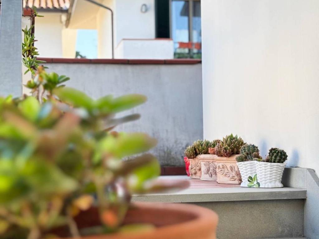 appartamento in vendita a Vinci